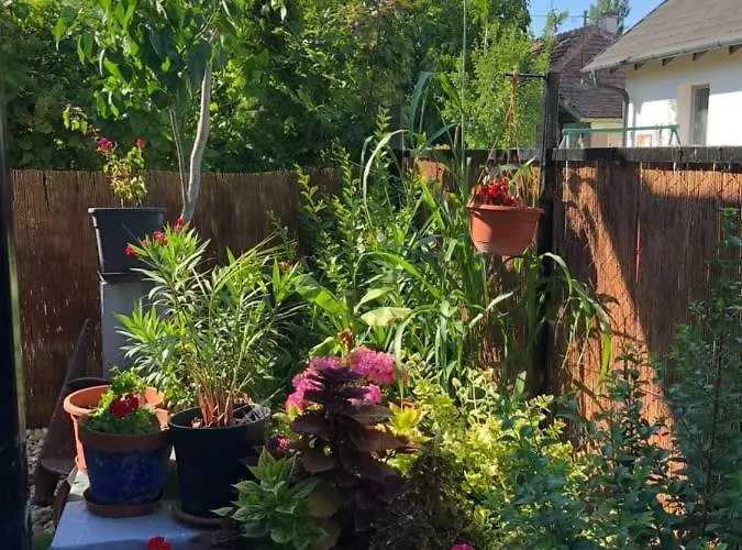 Amur Vendeghaz Holiday home *