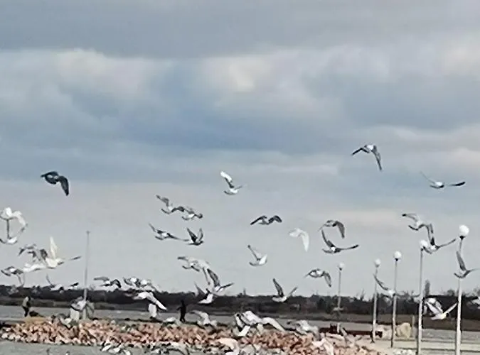 Amur Vendeghaz Holiday home *