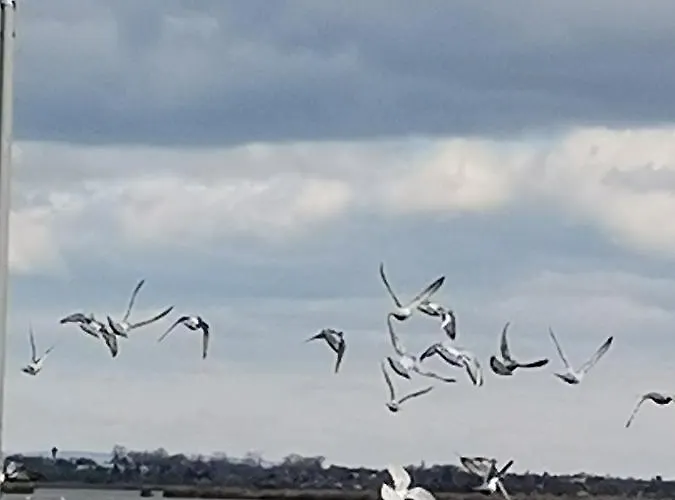 Holiday home Amur Vendeghaz Gardony